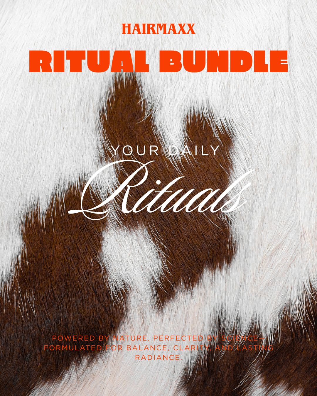Daily Rituals