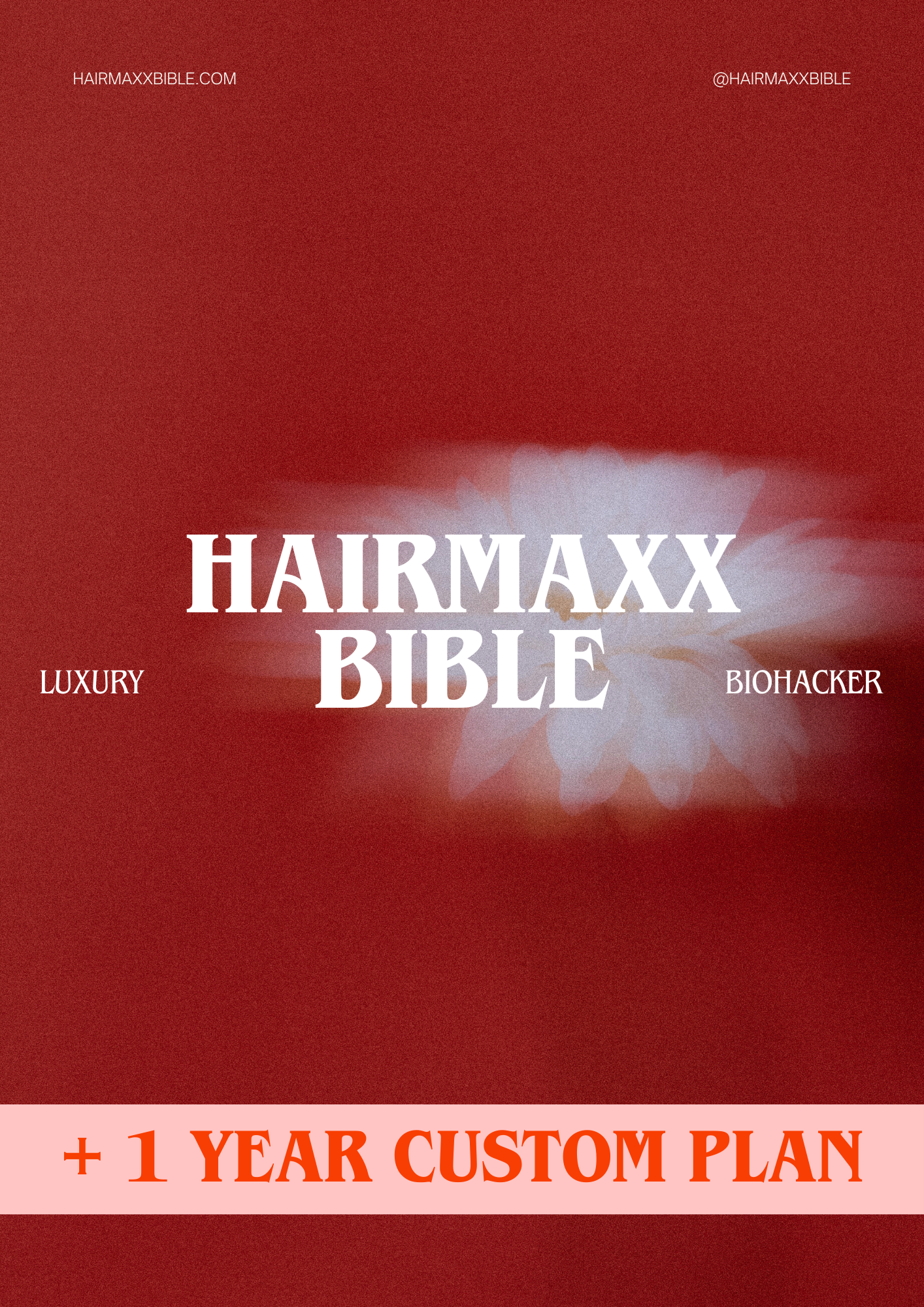 HAIRMAXX BUNDLE + CUSTOM PLAN